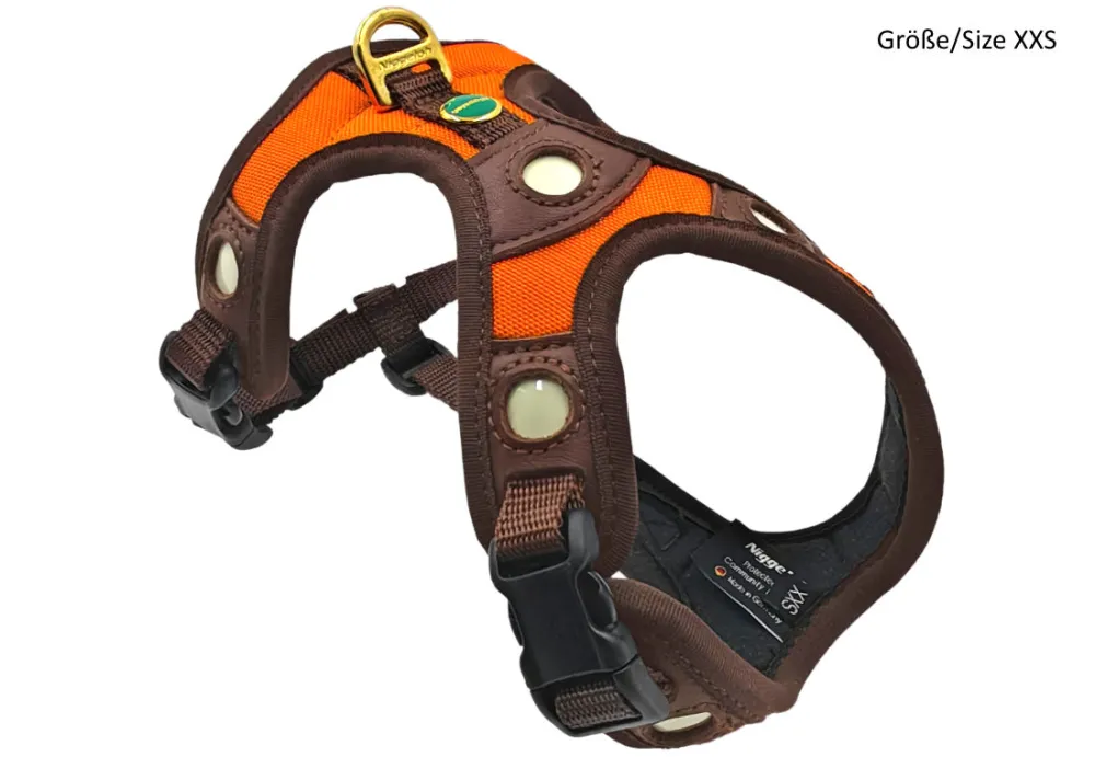 Gundog Safety Equipment